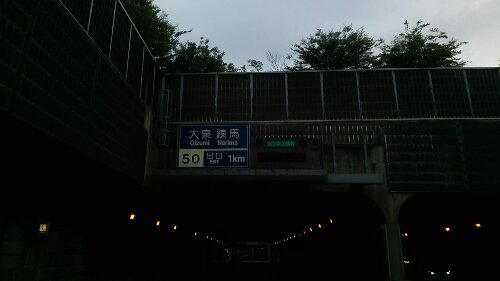 IMG_20130529_054509.jpg image