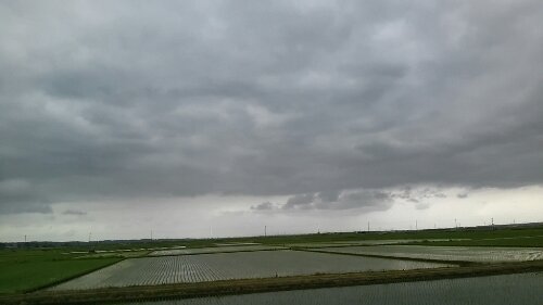 IMG_20130529_115841.jpg image