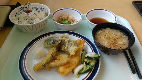 IMG_20130730_115201.jpg image