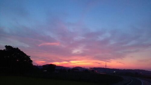 IMG_20130830_044656.jpg image