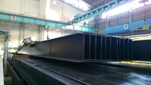 IMG_20130830_070252.jpg image