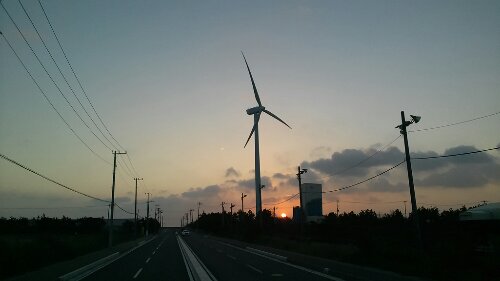 IMG_20130901_051821.jpg image