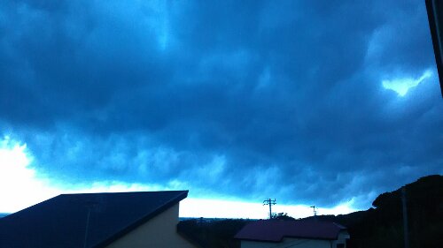 IMG_20130901_180212.jpg image