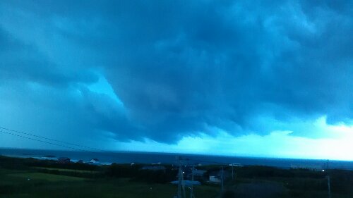 IMG_20130901_180231.jpg image