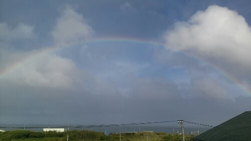 IMG_20130904_162748.jpg image