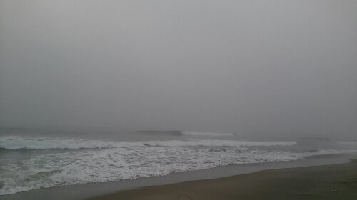 IMG_20130908_054123.jpg image