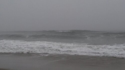 IMG_20130908_054201.jpg image