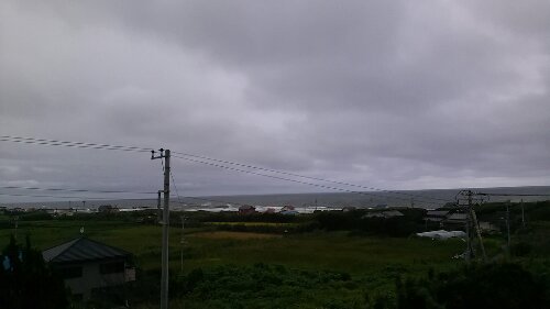 IMG_20130908_142548.jpg image