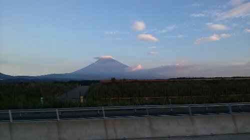 IMG_20130910_054508.jpg image