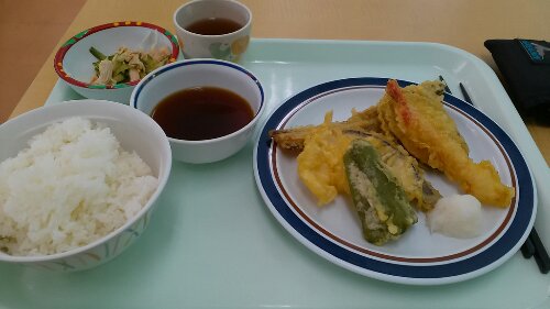 IMG_20130910_121613.jpg image