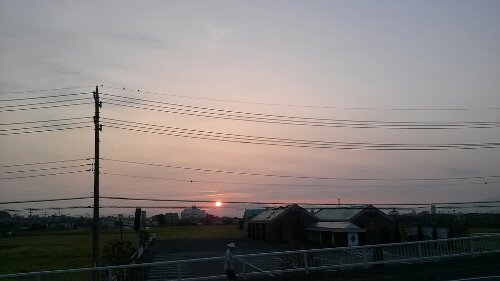 IMG_20130913_053434.jpg image