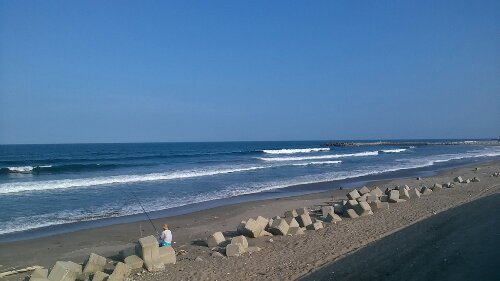 IMG_20130913_155051.jpg image