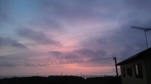 IMG_20130914_050511.jpg image