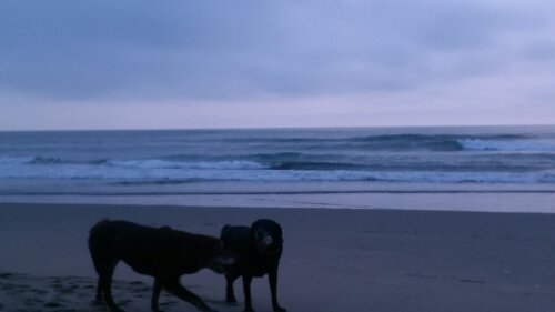 IMG_20130914_052340.jpg image