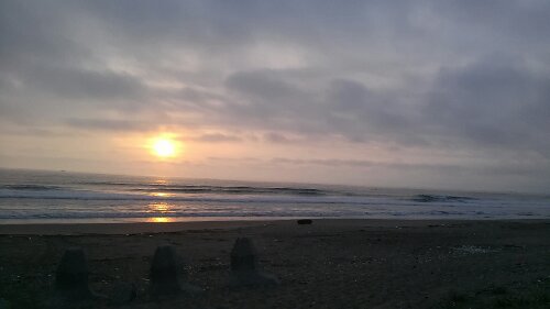 IMG_20130914_053615.jpg image