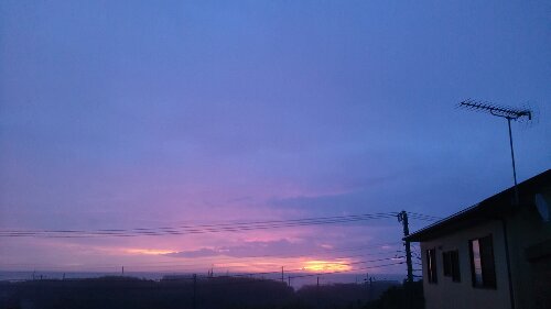 IMG_20130915_050922.jpg image