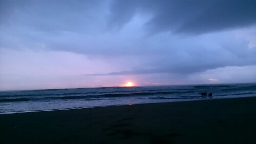 IMG_20130915_052555.jpg image