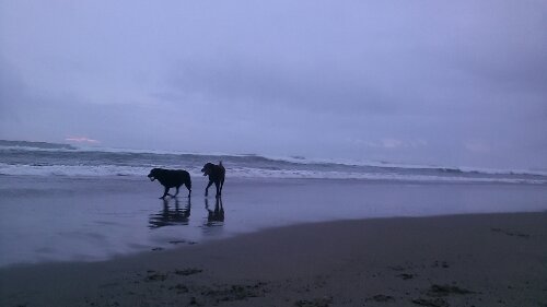 IMG_20130915_053621.jpg image