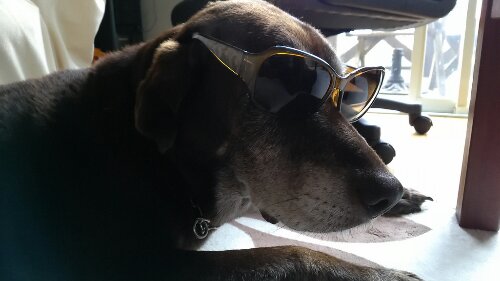 IMG_20130915_091704.jpg image