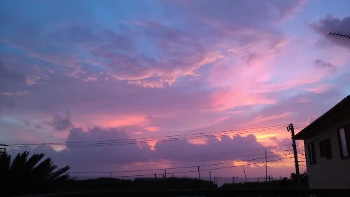 IMG_20130916_050402.jpg image