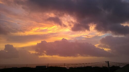 IMG_20130916_050843.jpg image