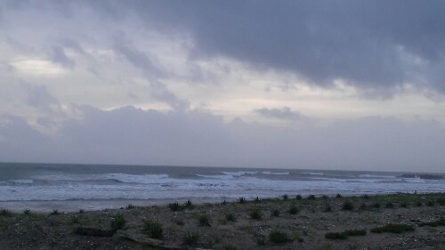 IMG_20130916_054113.jpg image