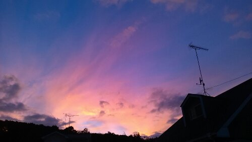 IMG_20130916_175820.jpg image