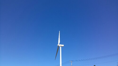 IMG_20130917_120350.jpg image