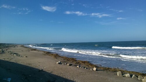 IMG_20130917_161047.jpg image