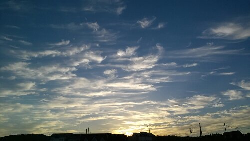 IMG_20130917_172126.jpg image