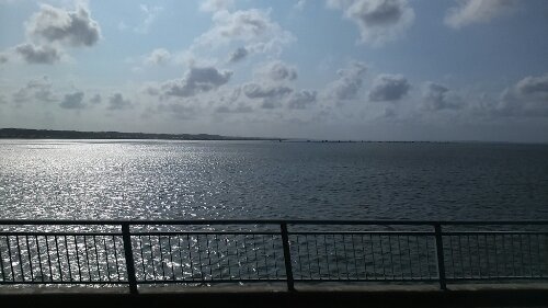 IMG_20130923_082754.jpg image