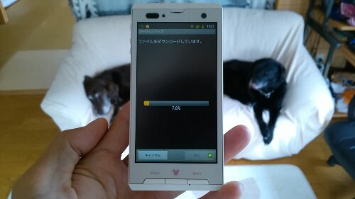 IMG_20130923_145106.jpg image