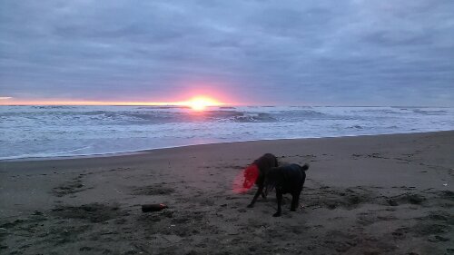 IMG_20130929_053250.jpg image