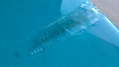 IMG_20130929_164435.jpg image