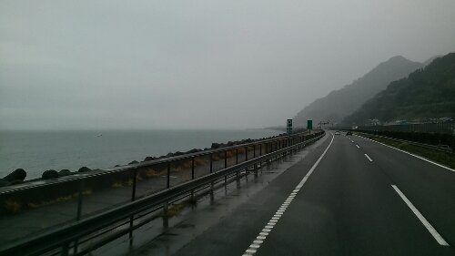 IMG_20131001_061324.jpg image