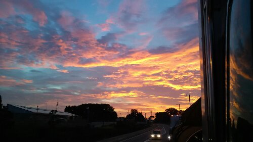 IMG_20131009_052923.jpg image