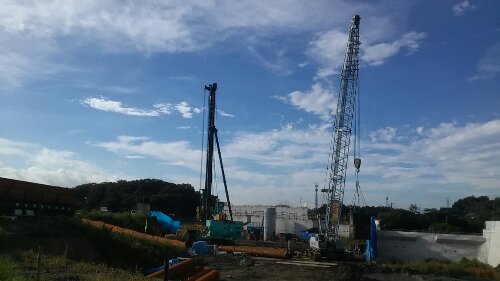 IMG_20131009_081815.jpg image