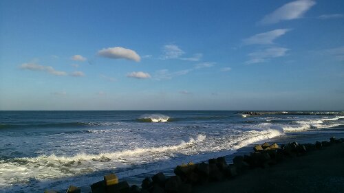 IMG_20131009_161057.jpg image