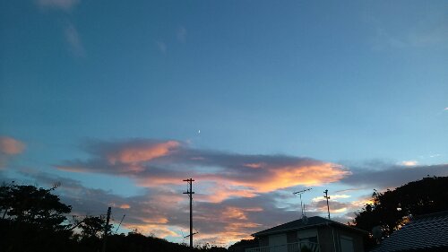 IMG_20131009_171400.jpg image