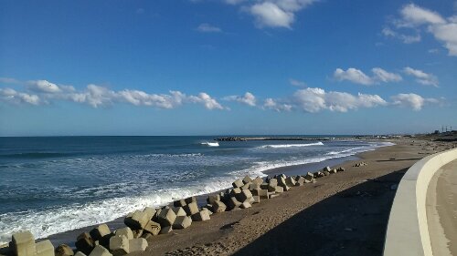 IMG_20131011_145159.jpg image