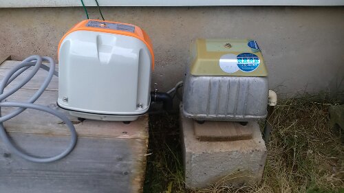 IMG_20131022_155600.jpg image