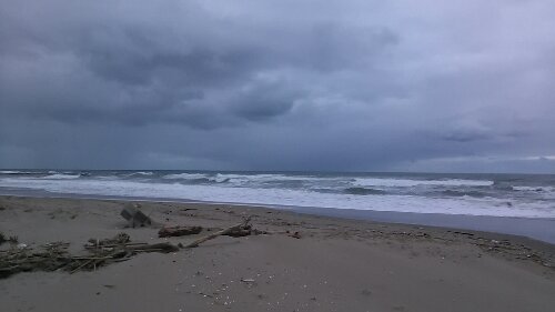 IMG_20131022_164645.jpg image