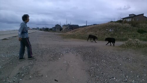 IMG_20131022_165402.jpg image