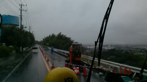 IMG_20131026_103544.jpg image