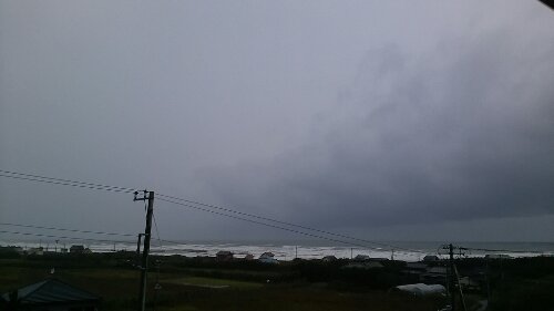 IMG_20131026_125911.jpg image