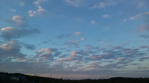 IMG_20131026_163655.jpg image