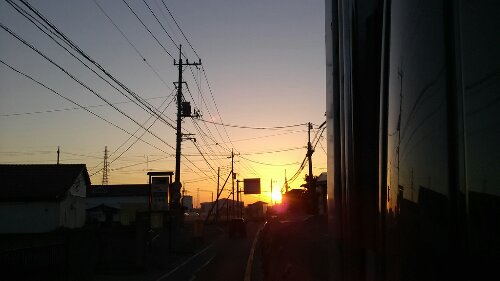 IMG_20131028_061239.jpg image