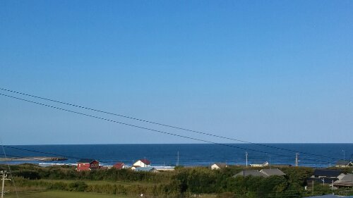 IMG_20131028_151054.jpg image