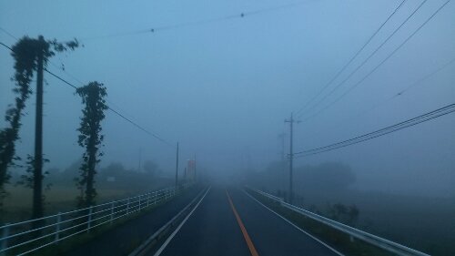 IMG_20131031_060614.jpg image