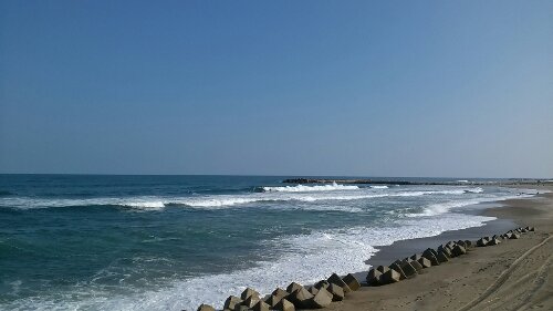 IMG_20131031_133022.jpg image